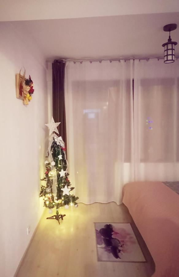 Studio Adela โปยานาบราซอฟ ภายนอก รูปภาพ