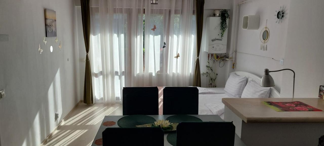 Studio Adela โปยานาบราซอฟ ภายนอก รูปภาพ